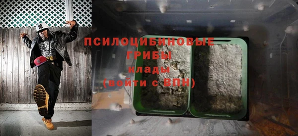 амф Нязепетровск