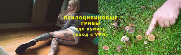 мет Няндома