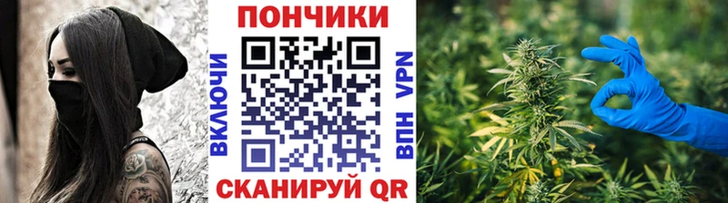 Конопля Bruce Banner  хочу наркоту  Алексеевка 